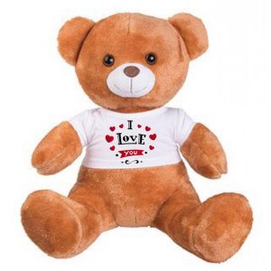 Ursinho de Peluche Personalizado