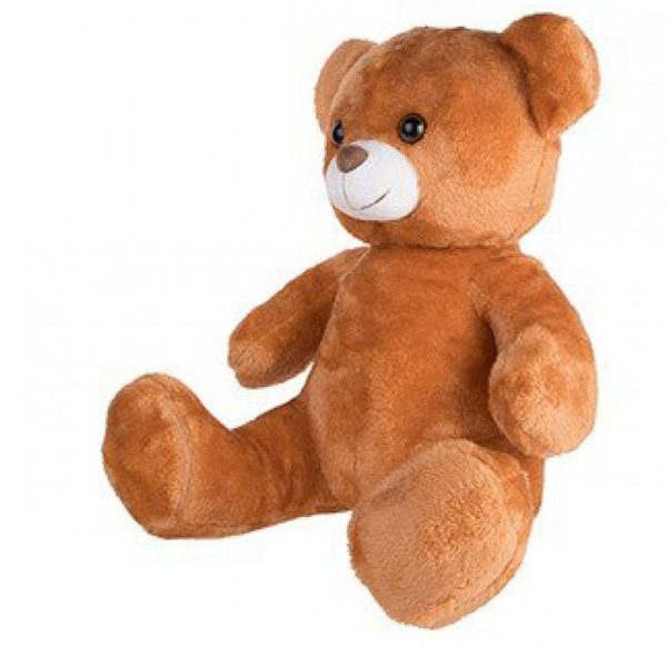 Ursinho de Peluche Personalizado - Image 2
